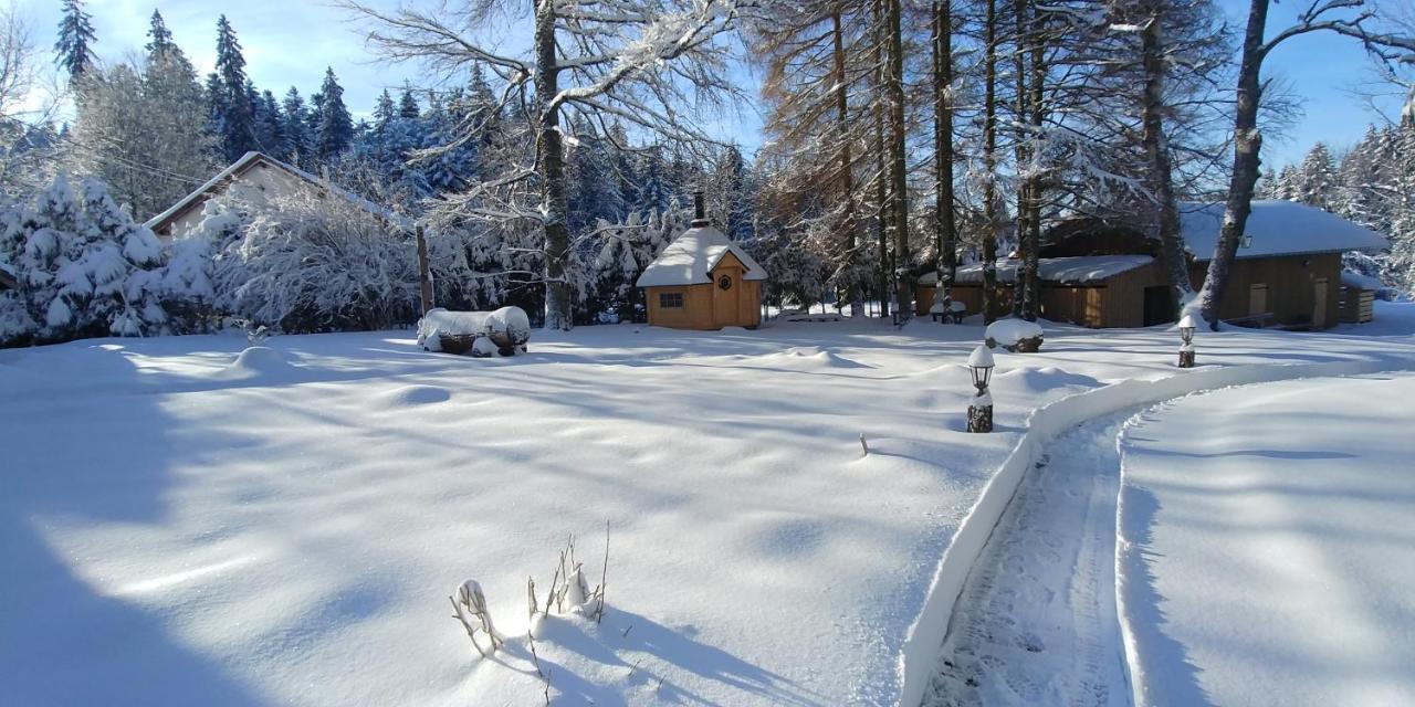 Chalet De Martimprey - Chalets - Gites - Chambres D' Hotes Et Spas Gérardmer Exterior foto